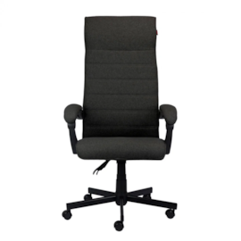 Cadeira Office Pcyes Ergonomic Magnus Black Suporta Até 130kg Ajuste Altura Preto Pceemagpt