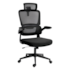 Cadeira Office Redragon Hela Suporta Até 130Kg Ajuste Altura Preto C214-B