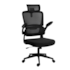 Cadeira Office Redragon Hela Suporta Até 130Kg Ajuste Altura Preto C214-B