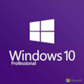 Licenca De Uso Microsoft Windows 10 Pro Oem Coa...