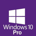 Licenca De Uso Microsoft Windows 10 Pro Oem Coa...