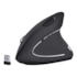 Mouse Ergonomico Wireless Bluetooth 1600 Dpi Preto