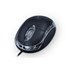 Mouse Maxprint Classic Essential 1000Dpi USB Preto 60000125