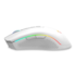 Mouse Redragon Cobra Pro Rgb Wireless 16000 Dpi Branco M711w-pro