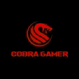 SSD COBRA GAMER 1TB SATA III LEITURA 550MB/S E GRAVAÇÃO 500MB/S