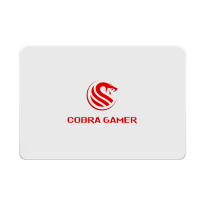 SSD COBRA GAMER 240GB SATA III LEITURA 550MB/S E GRAVAÇÃO 500MB/S