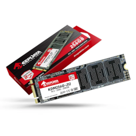 Ssd Keepdata 256Gb M.2 Sata Leitura E Gravação 500mb/s - 320mb/s Gen4x4 Kdm256g-j12