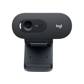 Webcam Logitech C505 Hd Com Microfone 720p Usb 960-001367